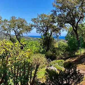 Les Restanques Vue 5 Pers Glycine 2067 , Grimaud France